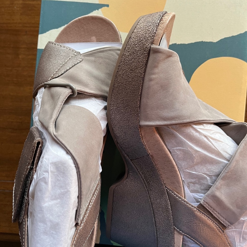 Brand new Earth platforms